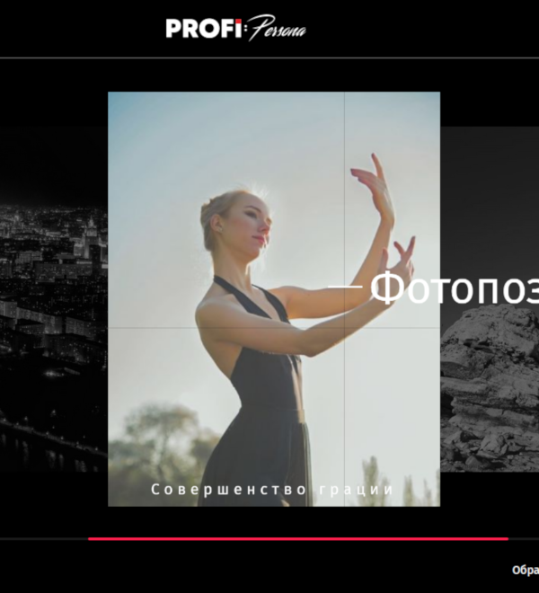 PROFI:Persona - Идеальный шаблон для создания портфолио, визитки.